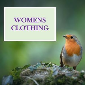 women's clothing